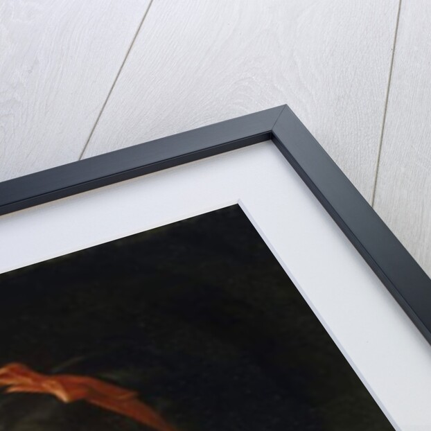 Lady Looking in Hand Mirror, 1868 by Leon Bazile Perrault