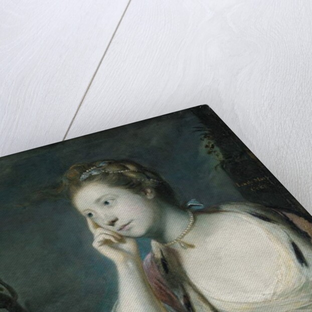 Portrait of Lady Mary Coke, half length, in an ermine-trimmed red cloak by Joshua Reynolds