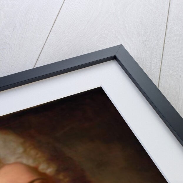 Portrait of the Marquis de la Mesangere by Hyacinthe Francois Rigaud