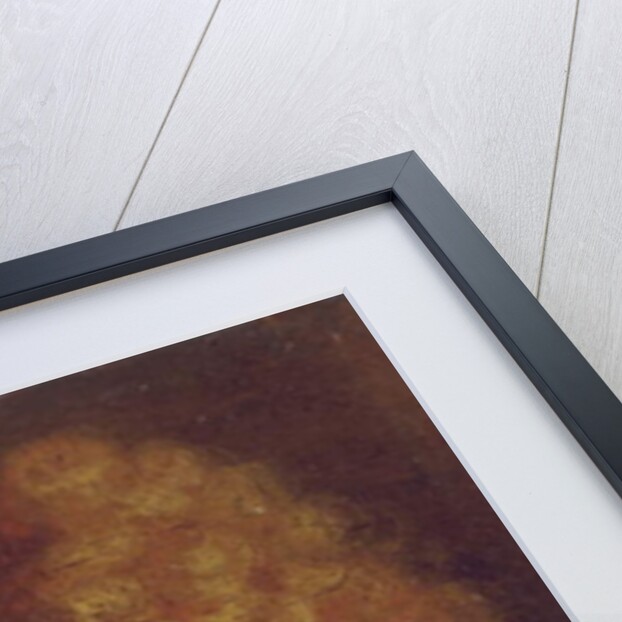 Portrait of a gentleman by Hyacinthe Rigaud