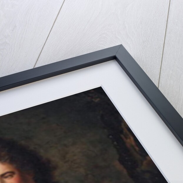 Portrait of the Comte d'Evreux, with a marshal's baton and the sash of the Order of the Saint Esprit by Hyacinthe Rigaud