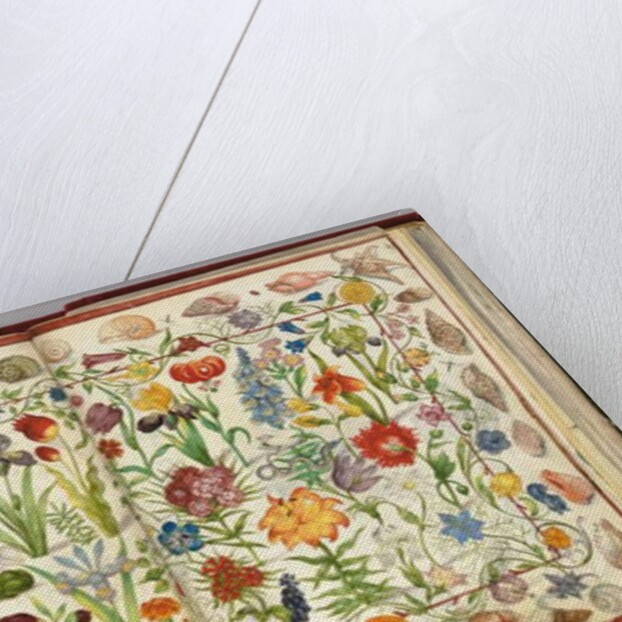 Pages from the Album Amicorum of Philipp Hainhofer, 1596-1633 by School European