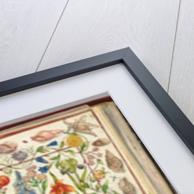 Pages from the Album Amicorum of Philipp Hainhofer, 1596-1633 by School European