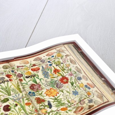 Pages from the Album Amicorum of Philipp Hainhofer, 1596-1633 by School European