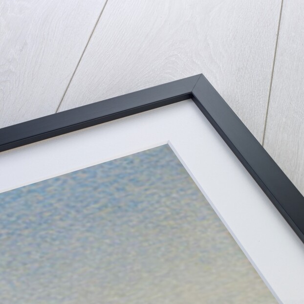 Collioure, Les Balancelles, 1887 by Paul Signac