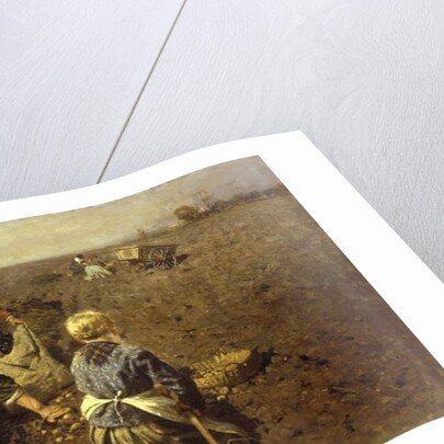 The Potato Harvest by Herman Hartwich