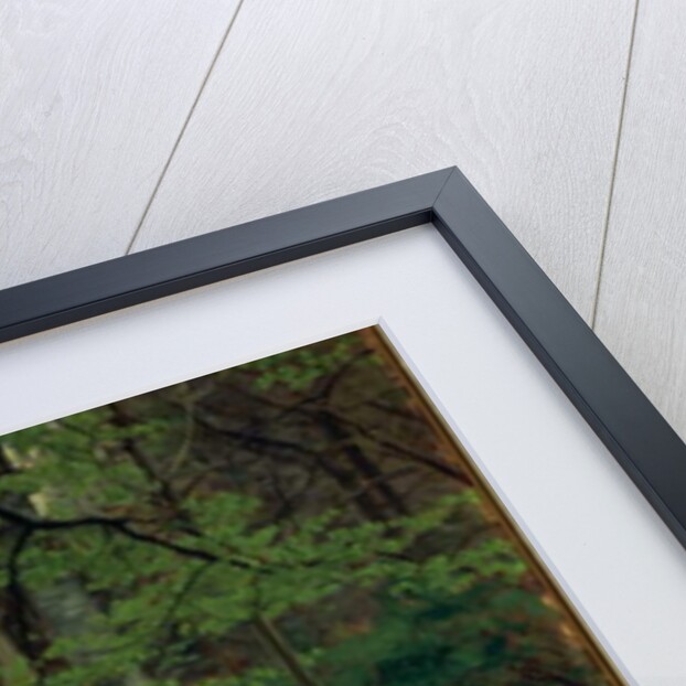 The Woodland Path by Hans Andersen Brendekilde