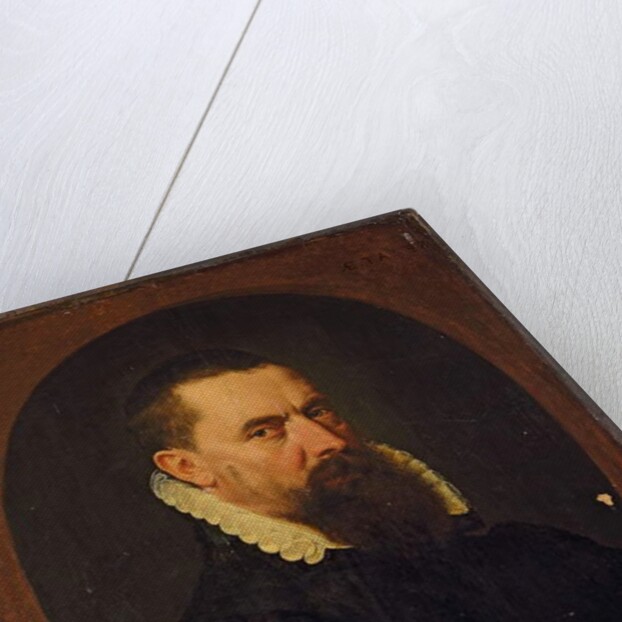 Portrait of a bearded gentleman, 1574 by Frans I Pourbus