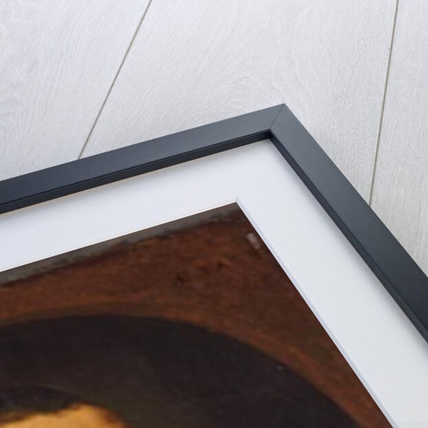 Portrait of a bearded gentleman, 1574 by Frans I Pourbus