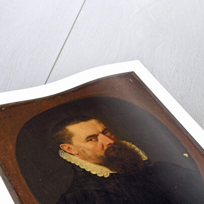 Portrait of a bearded gentleman, 1574 by Frans I Pourbus