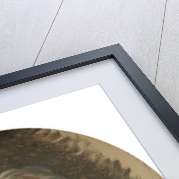 Portrait of a lady by Joseph (attr. to) Ducreux