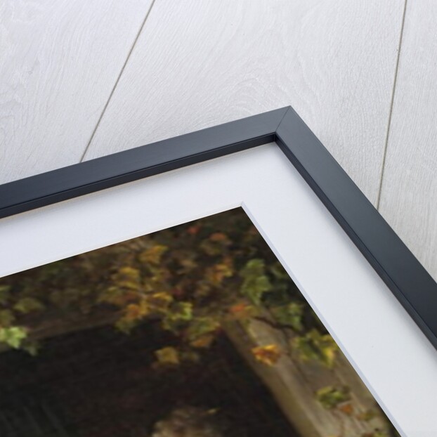 Feeding the Birds by Eugene Remy and Portielje Jan Maes