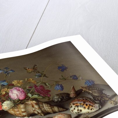 Flowers, shells and insects on a stone ledge by Balthasar van der Ast