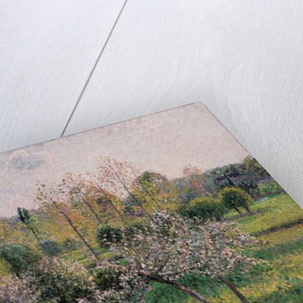 Apple Trees in Blossom, Eragny, 1895 by Camille Pissarro