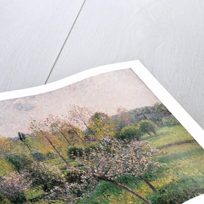 Apple Trees in Blossom, Eragny, 1895 by Camille Pissarro