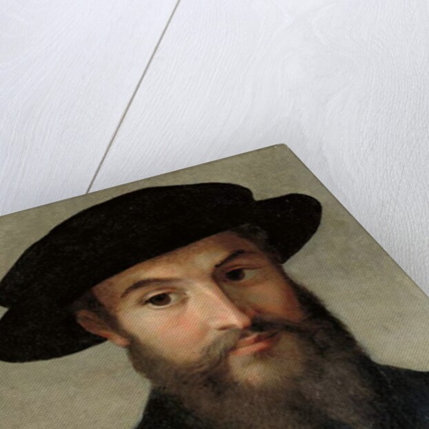 Portrait of a bearded man by Parmigianino