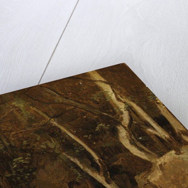 At Civita Castellana, Wooded Rocks, 1825-28 by Jean Baptiste Camille Corot