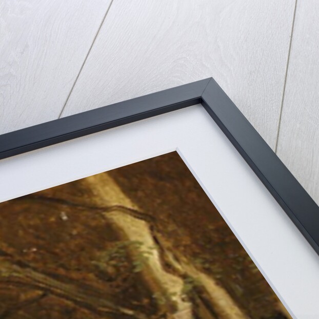 At Civita Castellana, Wooded Rocks, 1825-28 by Jean Baptiste Camille Corot