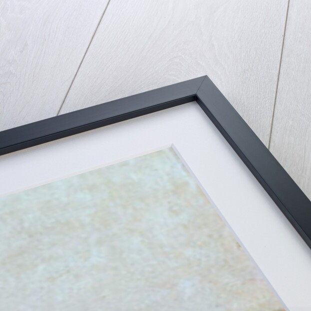 Evening by David Davies