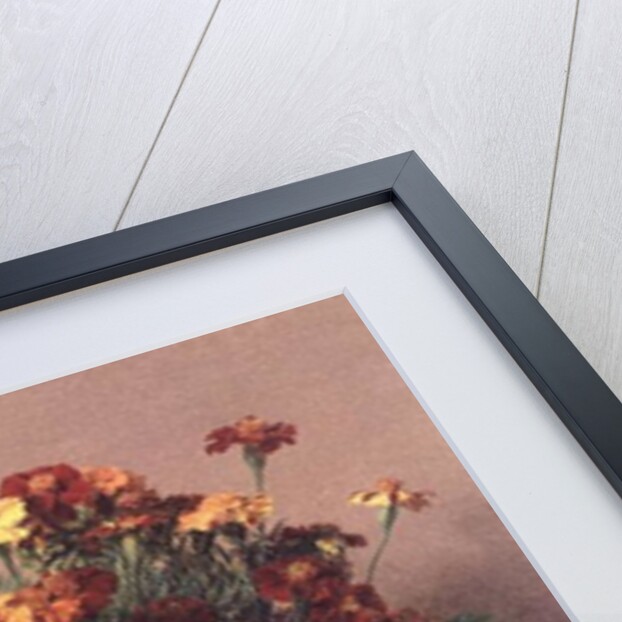 Oeillets d'Inde, 1893 by Ignace Henri Jean Fantin-Latour