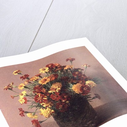 Oeillets d'Inde, 1893 by Ignace Henri Jean Fantin-Latour