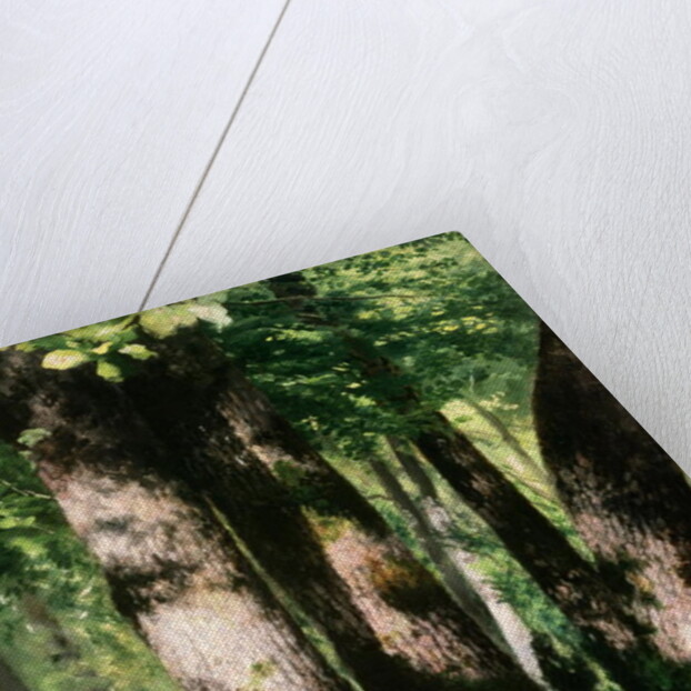 In the Forest of Fontainebleau by Pierre Auguste Renoir