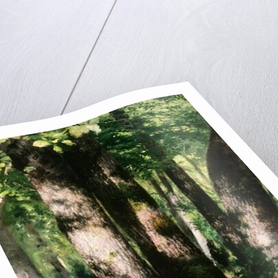 In the Forest of Fontainebleau by Pierre Auguste Renoir