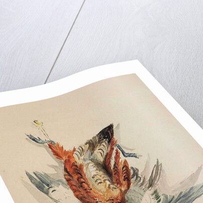 Rouge de rivière, c.1877-80 by Henri de Toulouse-Lautrec