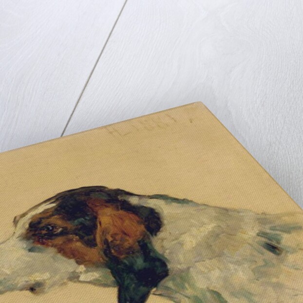 Chien de chasse, 1881 by Henri de Toulouse-Lautrec