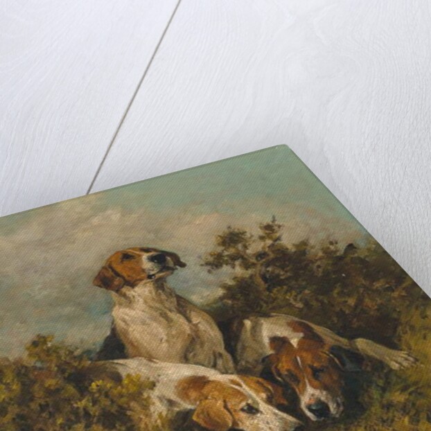 On the scent, 1992 by John Emms