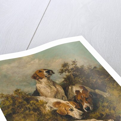 On the scent, 1992 by John Emms