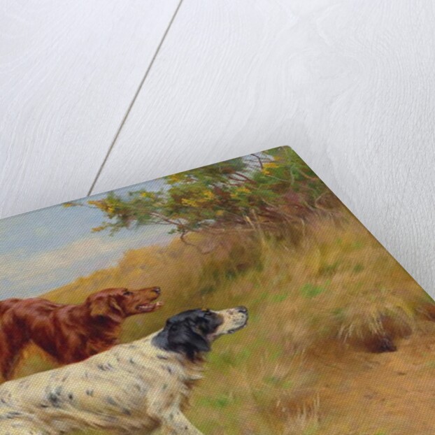 Setters, 2001 by Thomas Blinks