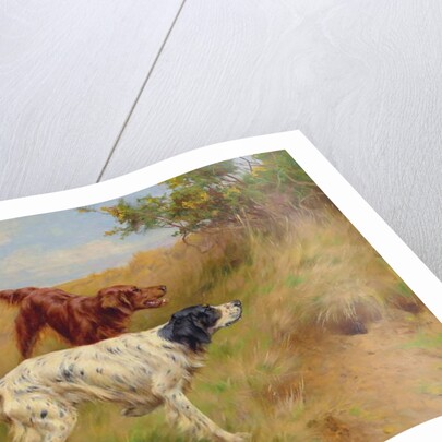 Setters, 2001 by Thomas Blinks