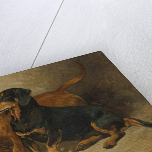 Dachshunds, 1993 by John Emms