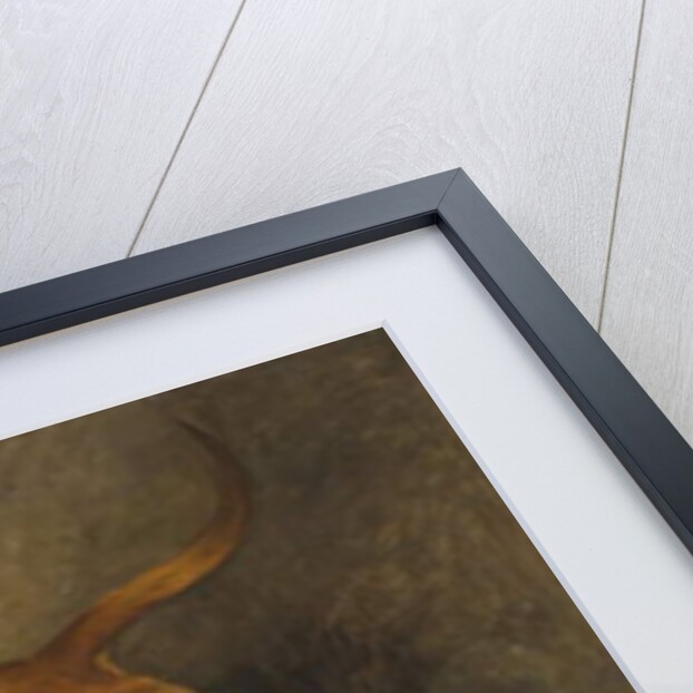 Dachshunds, 1993 by John Emms