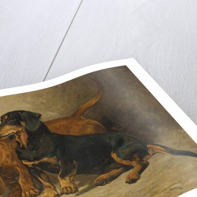 Dachshunds, 1993 by John Emms