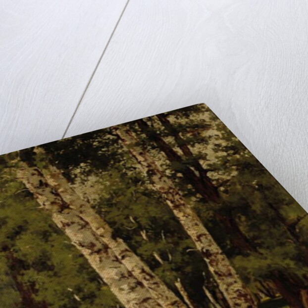 Birch trees by Arkhip Ivanovich Kuindzhi