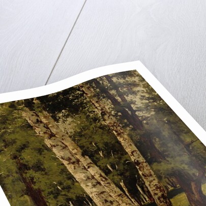 Birch trees by Arkhip Ivanovich Kuindzhi