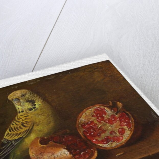 A parakeet and a pomegranate on a ledge by French School