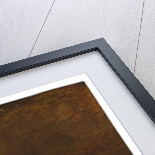 A parakeet and a pomegranate on a ledge by French School