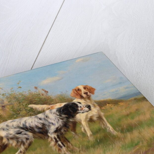 Two English setters by Thomas Blinks