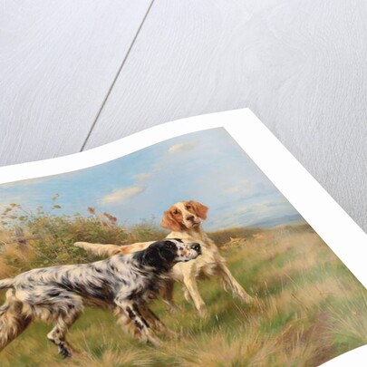 Two English setters by Thomas Blinks