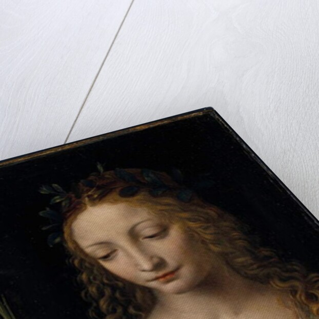 Bust length figure of saint, with a palm and reading the scriptures by Bernardino Luini