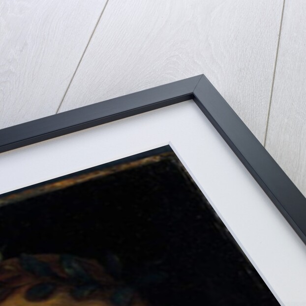 Bust length figure of saint, with a palm and reading the scriptures by Bernardino Luini