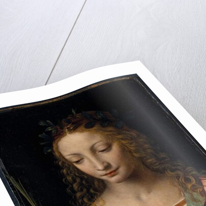 Bust length figure of saint, with a palm and reading the scriptures by Bernardino Luini