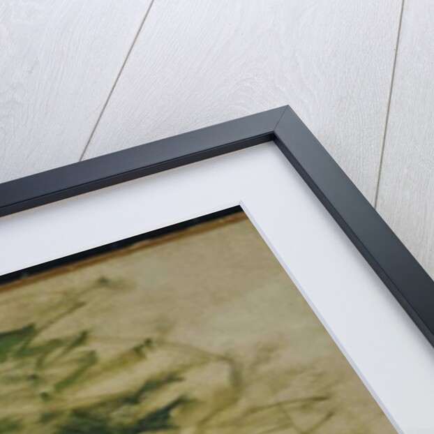 Garden, 1883 by Berthe Morisot