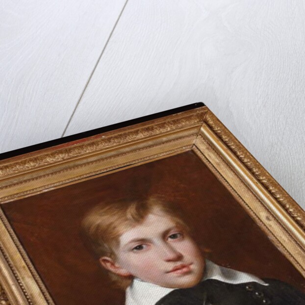 Portrait of Henri d'Artois as a child, 'Henri V', future Count of Chambord, wearing the Order of the Holy Ghost, ca 1828 by French School