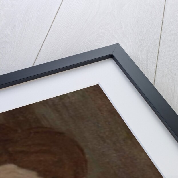 Portrait of a Woman, 1907 by Amedeo Modigliani