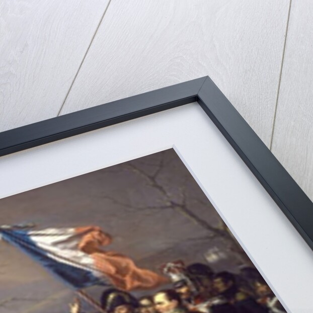 Napoleon returning from Elba by Charles Auguste Steuben