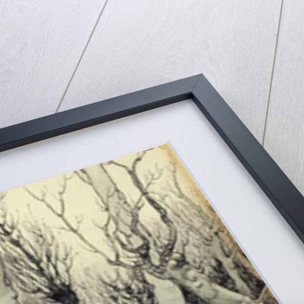 Elves in a Wood, 1908 by Arthur Rackham